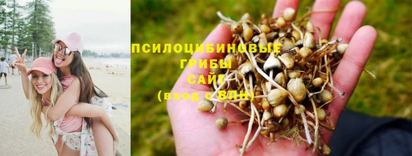 прущий лед Богородицк